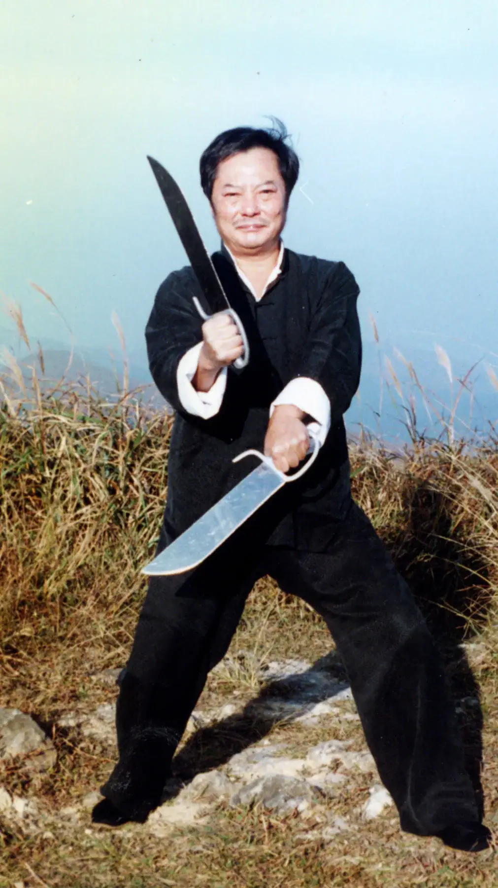 Wong Shun Leung Ving Tsun Doppelmessern
